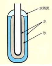 三重点セル.jpg
