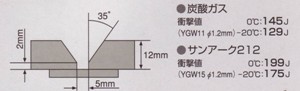 肉厚MAG1.jpg