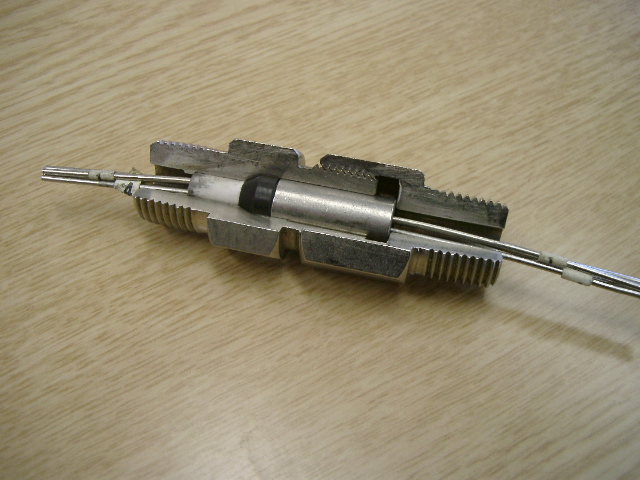 IMGP4781.JPG
