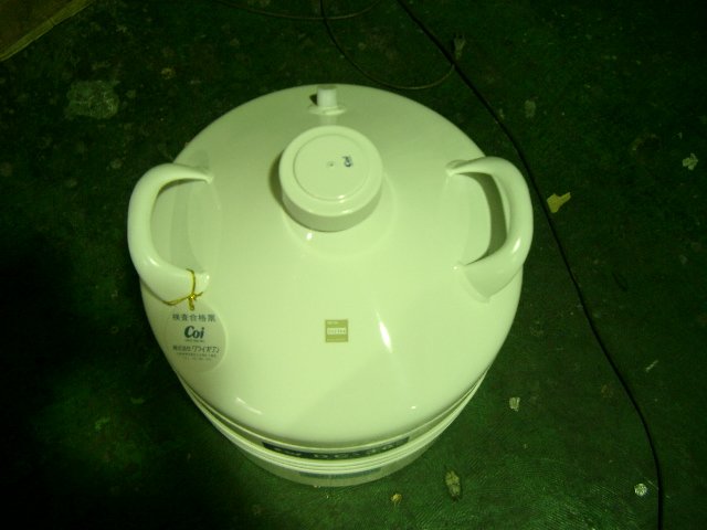 IMGP4788.JPG