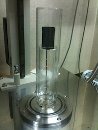 IMG_2163.jpg