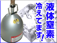 液体窒素 冷えてます!